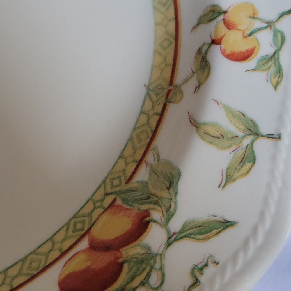 Vintage Valencia Churchill Pottery Fruit Design Ribbed Border 10 inches 3 in set